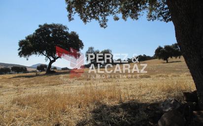 Terreny en venda en Palma del Río