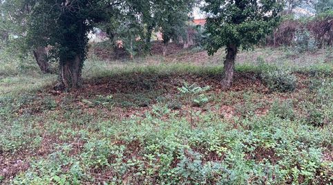 BESCANÓ (Gerona). Urb. "Mas Llunes"., immagine 2