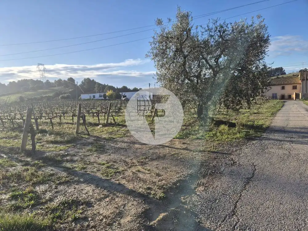 Casa rústica en venda a Sant Martí Sarroca, imagen 33