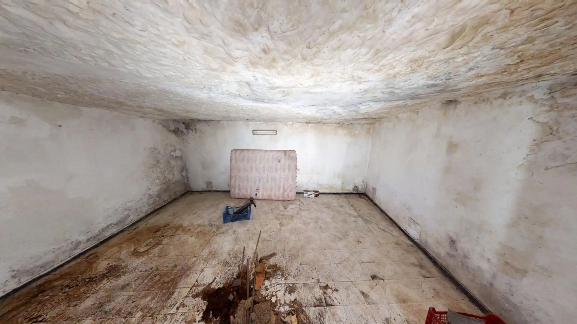Finca rústica en venta en Vega de San Mateo