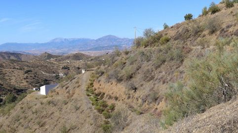 Foto 5 de Terreno en venta en Poligono 9, Cártama, Málaga