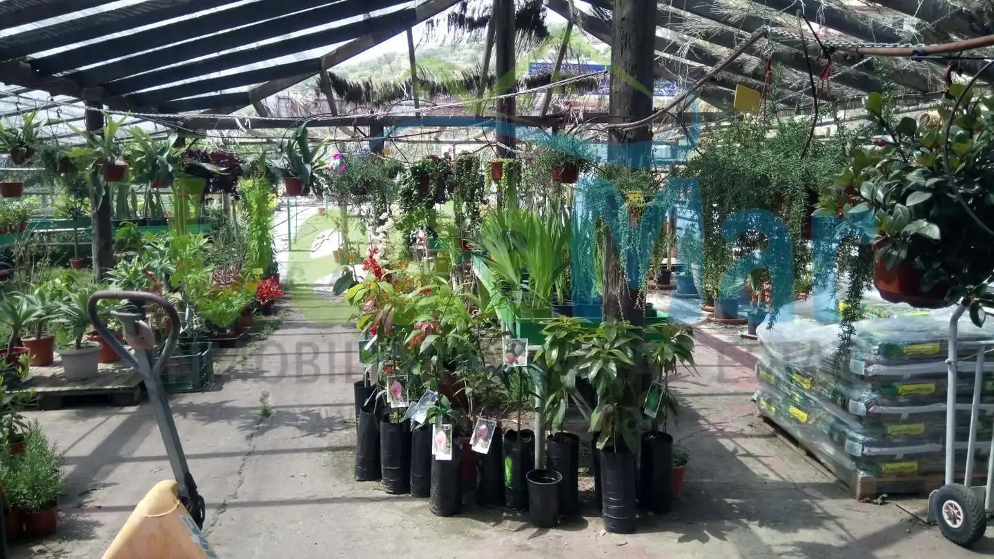 Business premises for sale in Velilla - Velilla Taramay, imagen 35