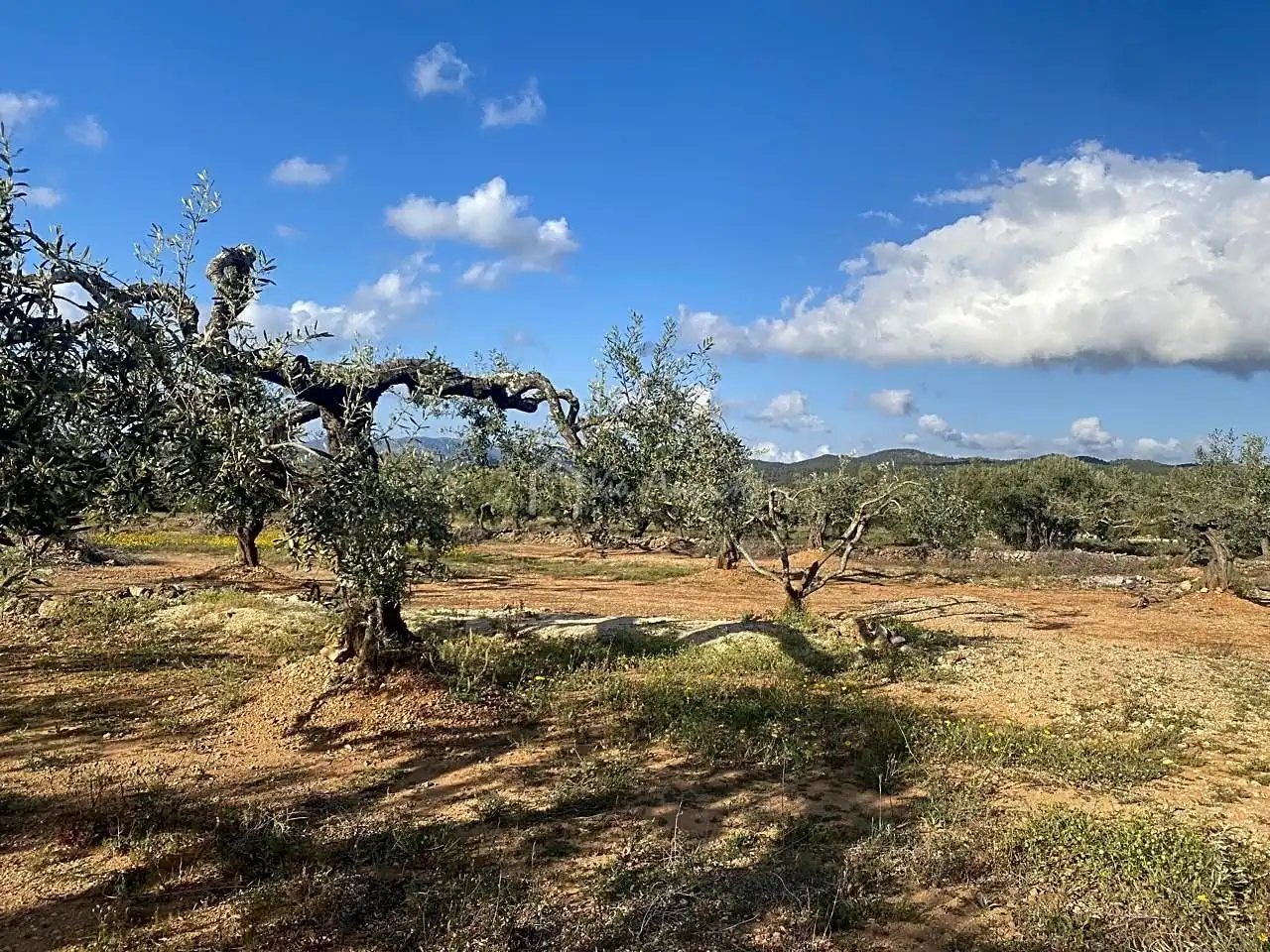 Terreno rustico in vendita a Burgà, imagen 17