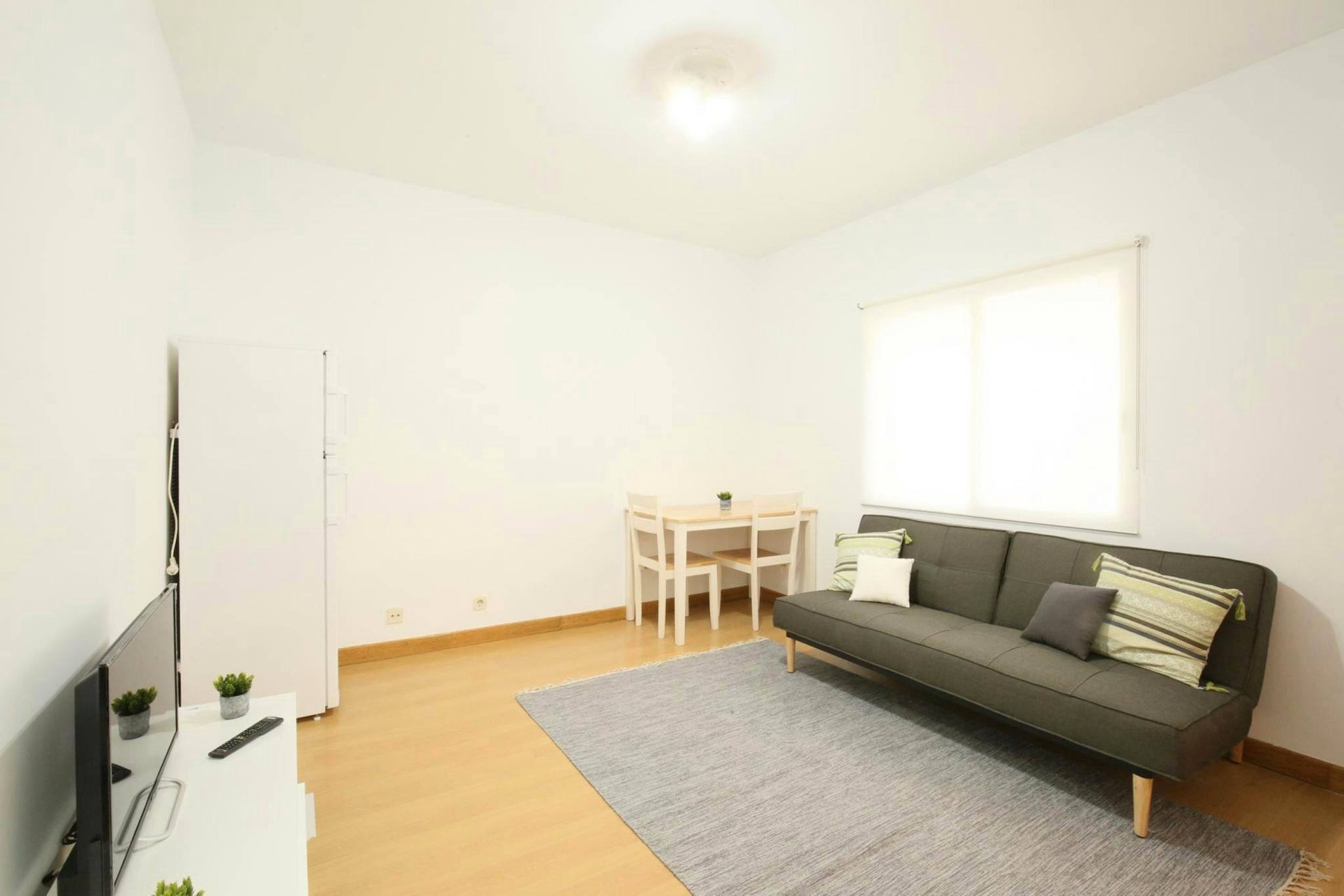 Living room of Flat to rent in  Madrid Capital  with Heating, Furnished and Washing machine