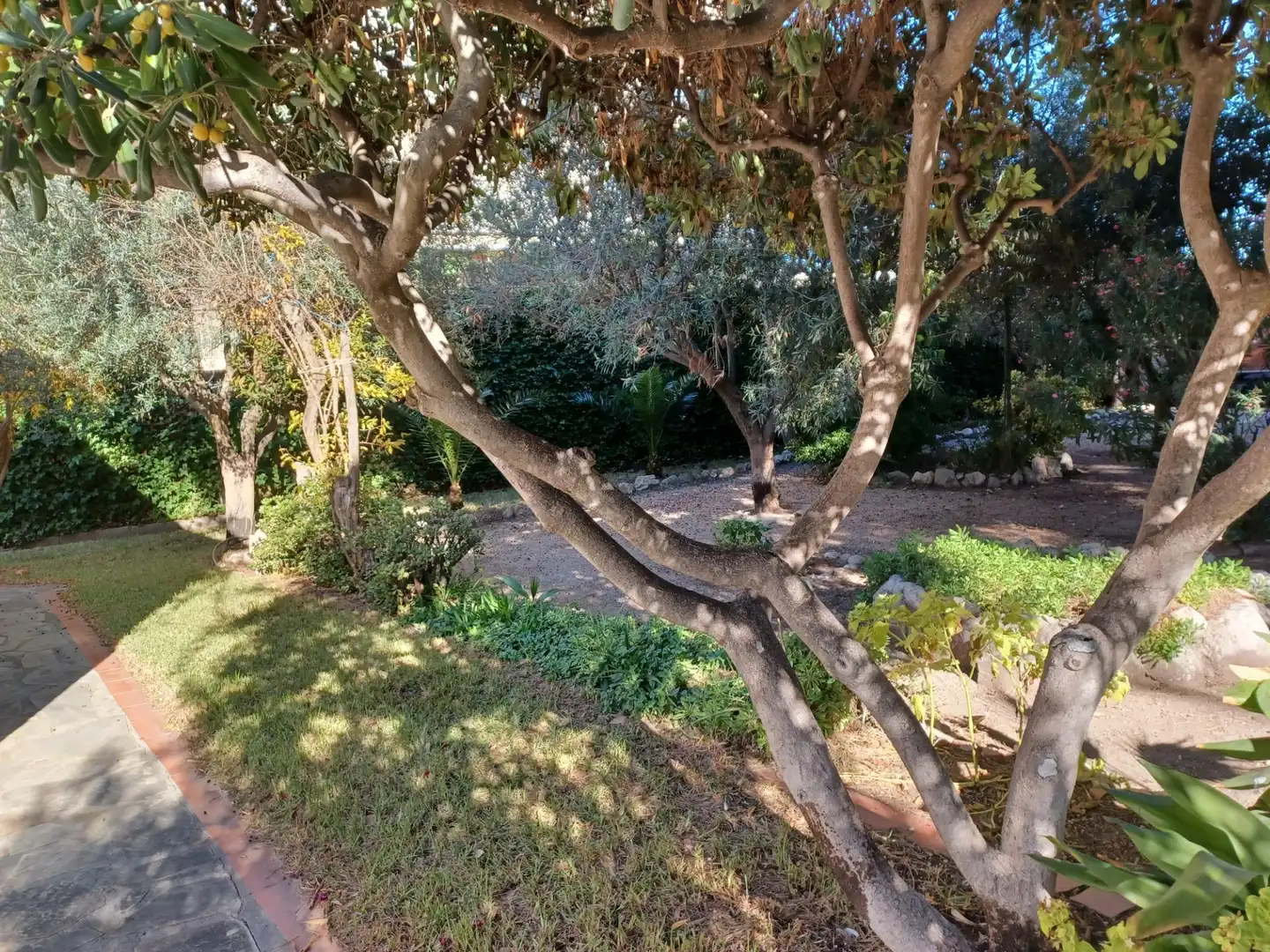 Jardí de Casa o xalet en venda en Cubelles amb Jardí privat