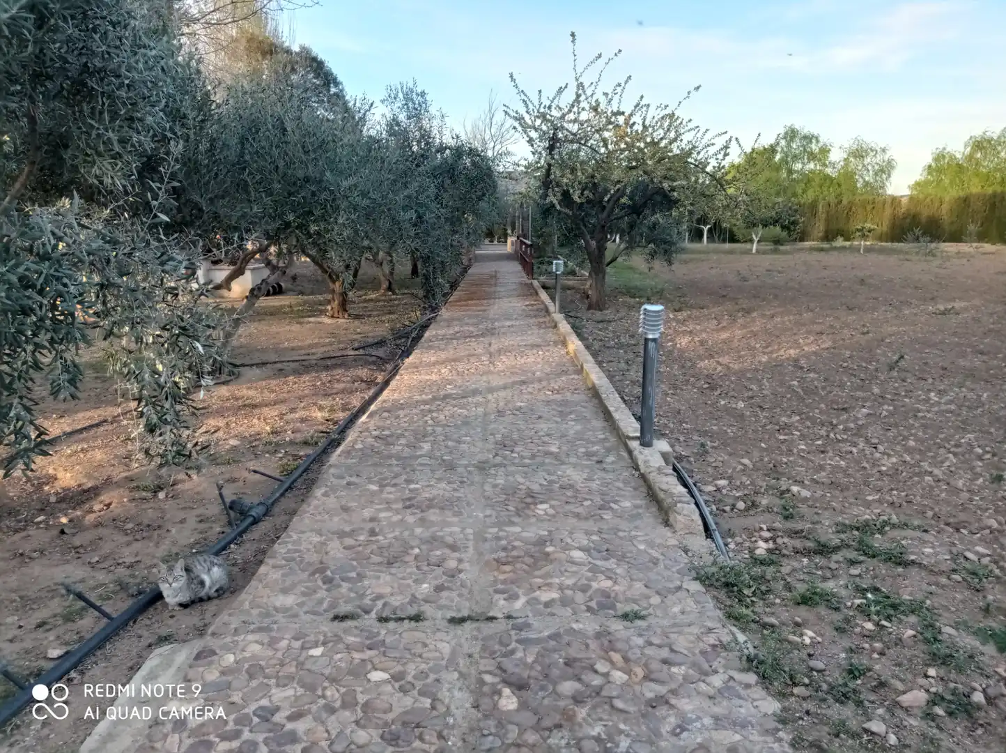 Chalet con jardín en venta en Porzuna, imagen 7