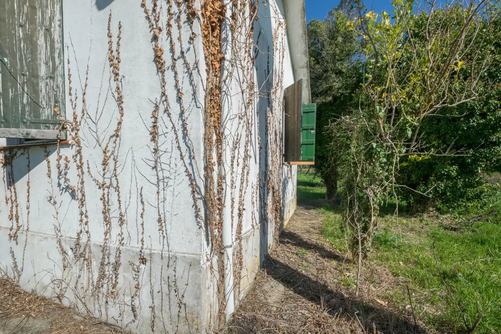 Vista exterior de Casa o xalet en venda en Cambre  amb Jardí privat
