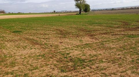 Foto 2 de Terreno en venta en Aldehuela, Tarancón, Cuenca