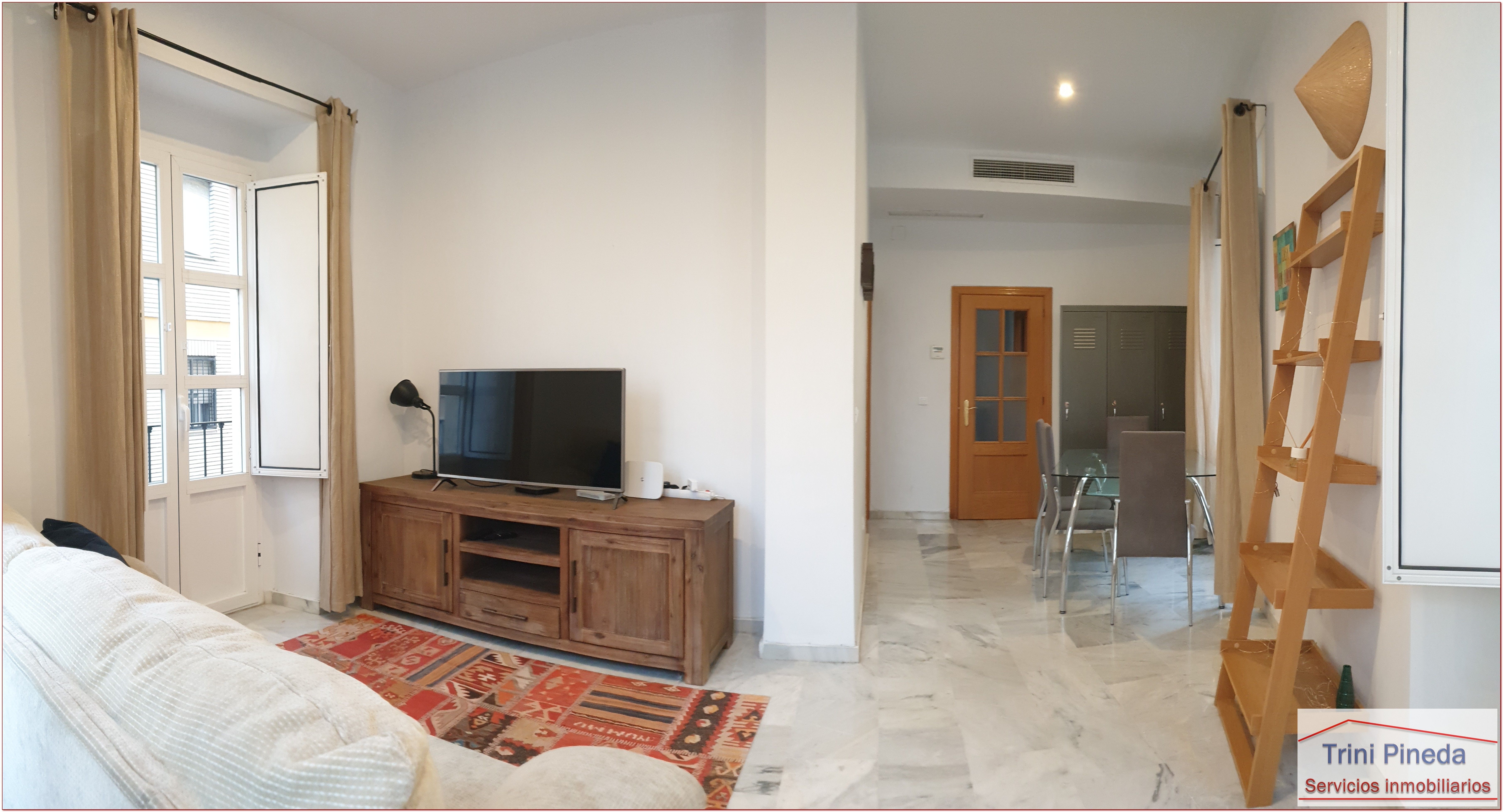 Living room of Flat to rent in  Sevilla Capital  with Air Conditioner, Heating and Furnished