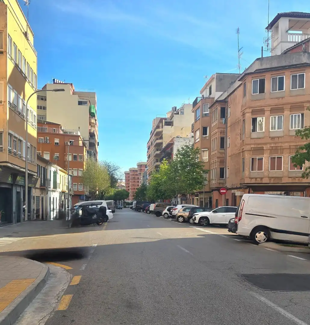 Vista exterior de Pis en venda en  Palma de Mallorca amb Terrassa
