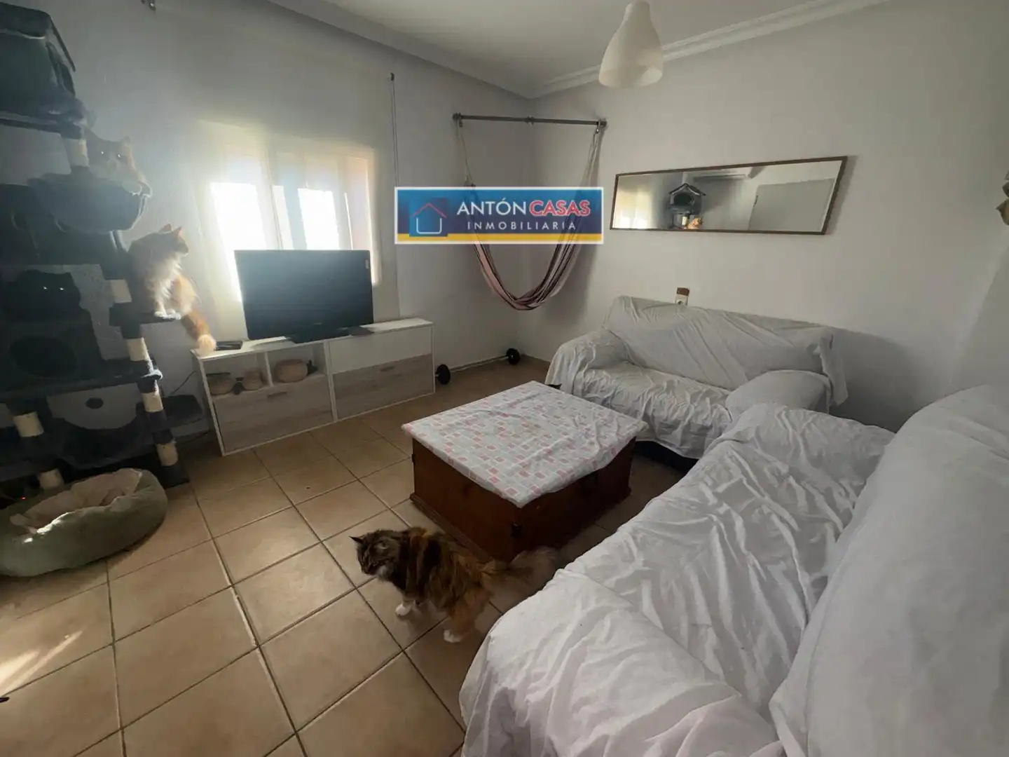 Sala d'estar de Casa o xalet en venda en Aspe amb Aire condicionat, Terrassa i Traster