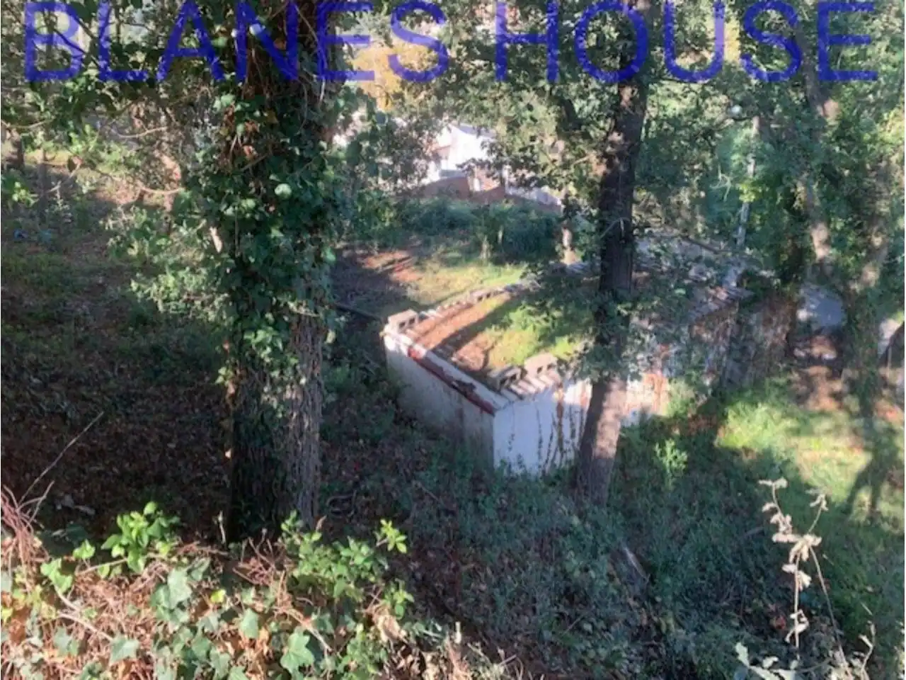 Rural land for sale in Residencial Park, imagen 6