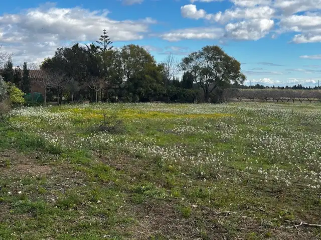 Terrenys i solars en venda a del Molí de Vent (CLOTA P45 P10), imagen 28