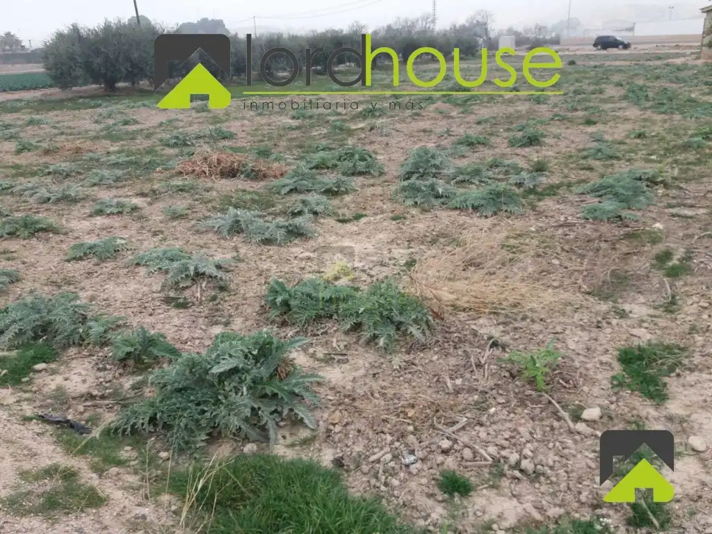 Residential land for sale in Diseminado la Tercia, 81 81, imagen 3