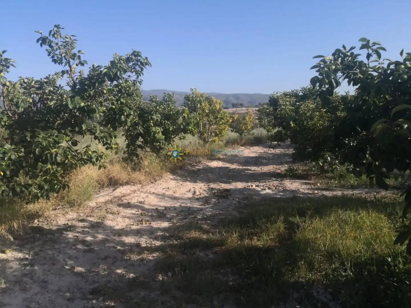 Finca rústica en venta en Albaida con Jardín privado y Trastero