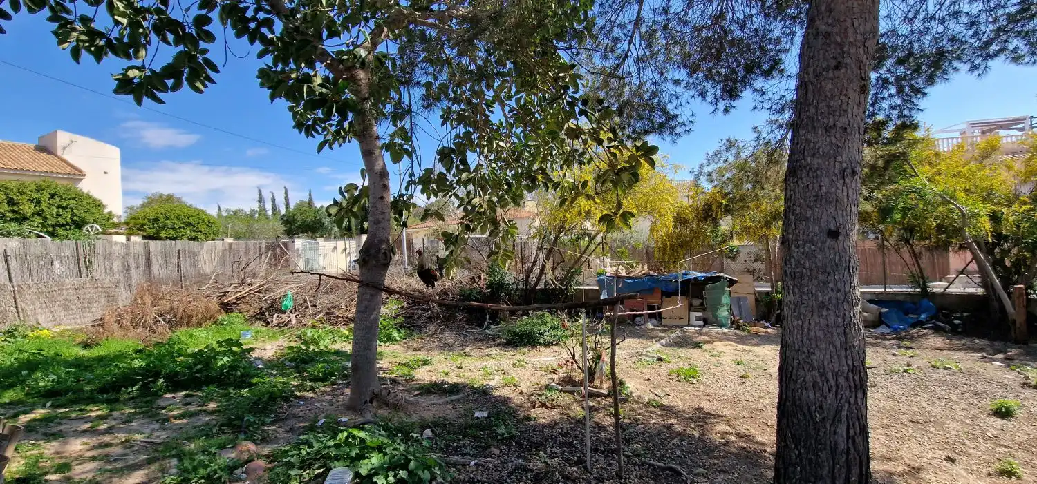 Finca rústica en venda en Algorfa amb Jardí privat