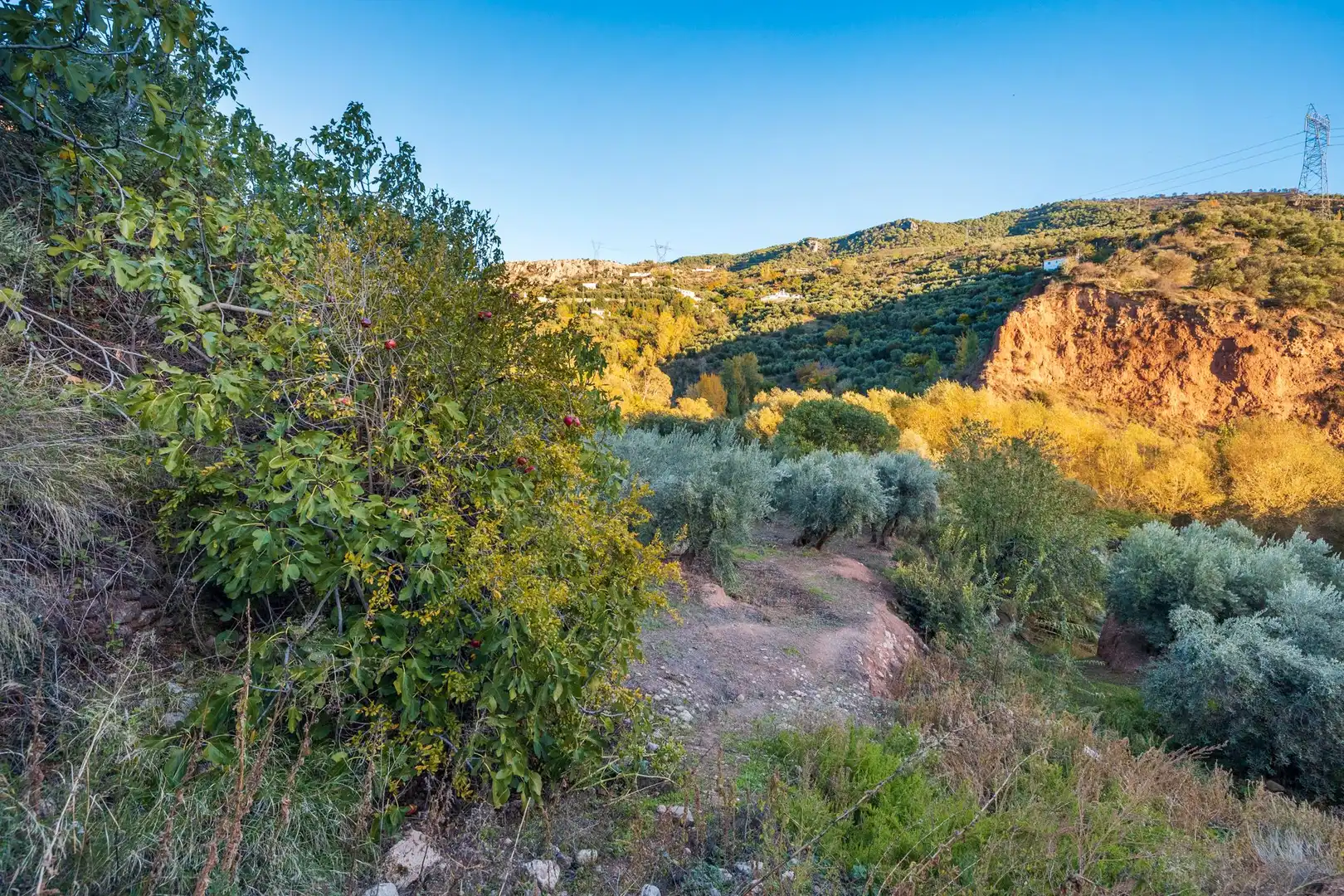 Casa o xalet en venda en Cogollos de la Vega