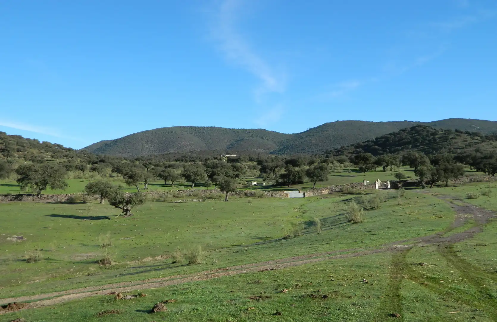 Rural land for sale in La Hispanidad - Verdeluz, imagen 36
