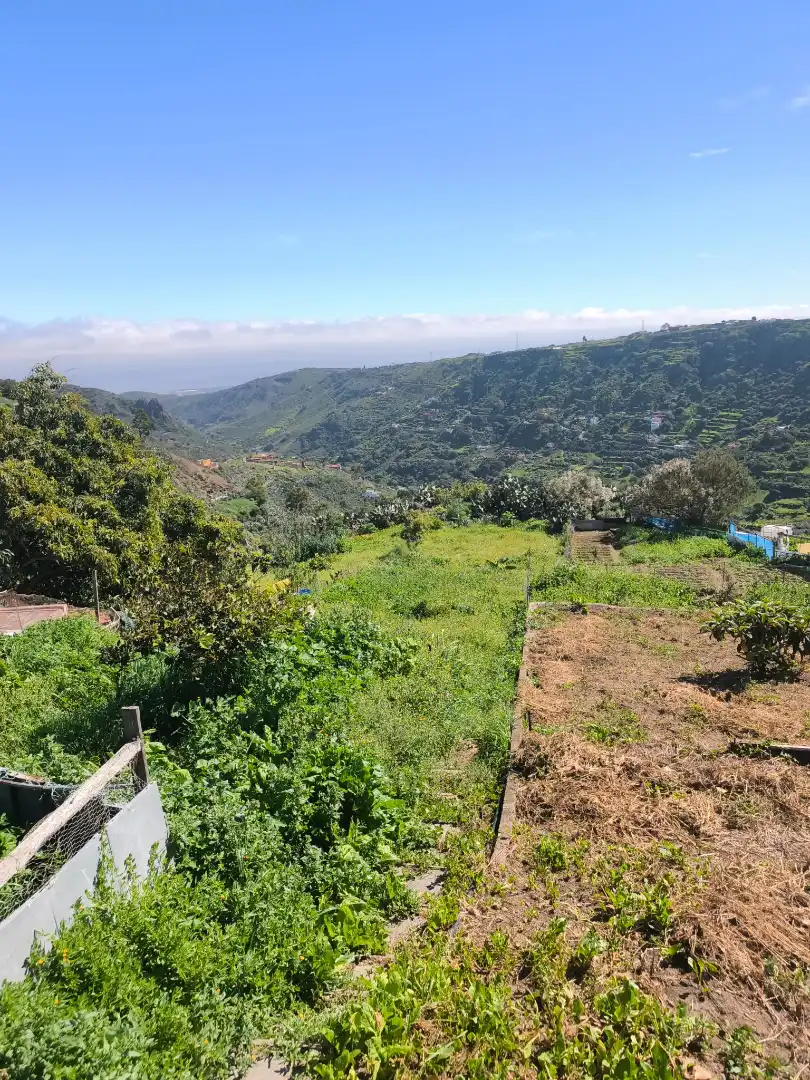 Terreny en venda en Santa Brígida