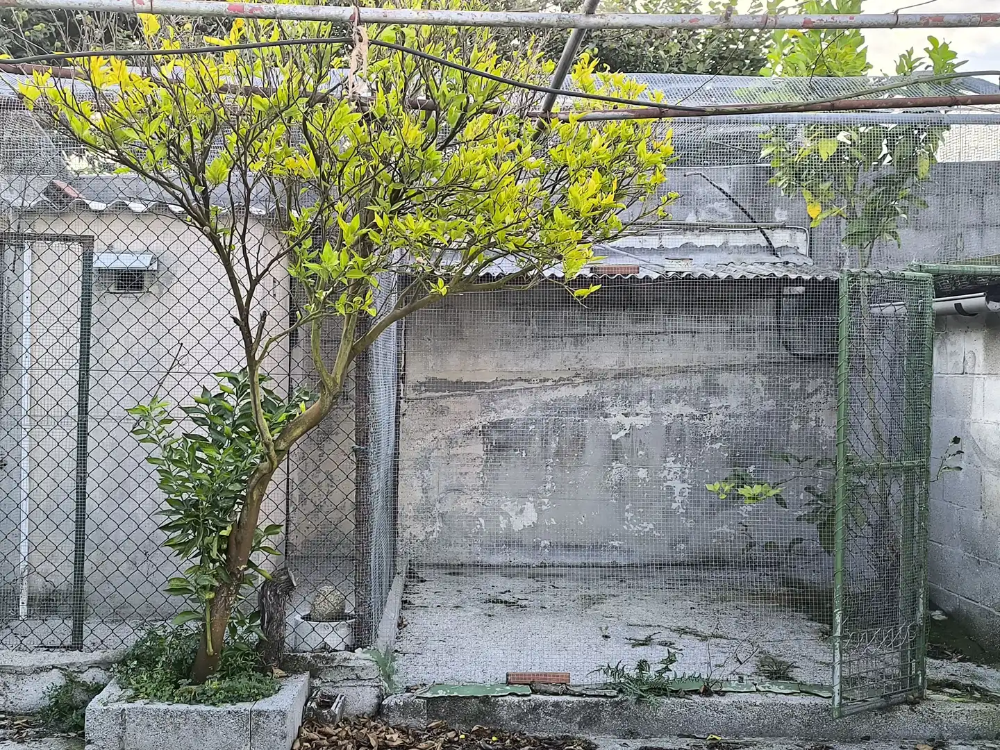 Maison avec piscine à vendre à Valdoviño, imagen 34