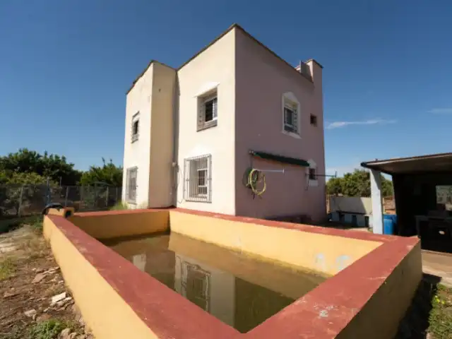 Vista exterior de Finca rústica en venda en Alzira amb Jardí privat i Piscina