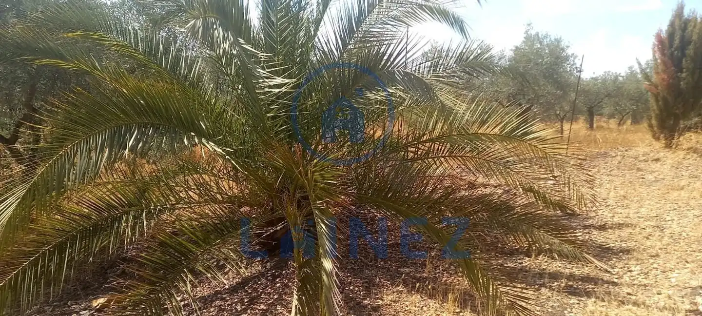 Wohnbaugrundstück zum Verkauf in La Granjuela, imagen 2