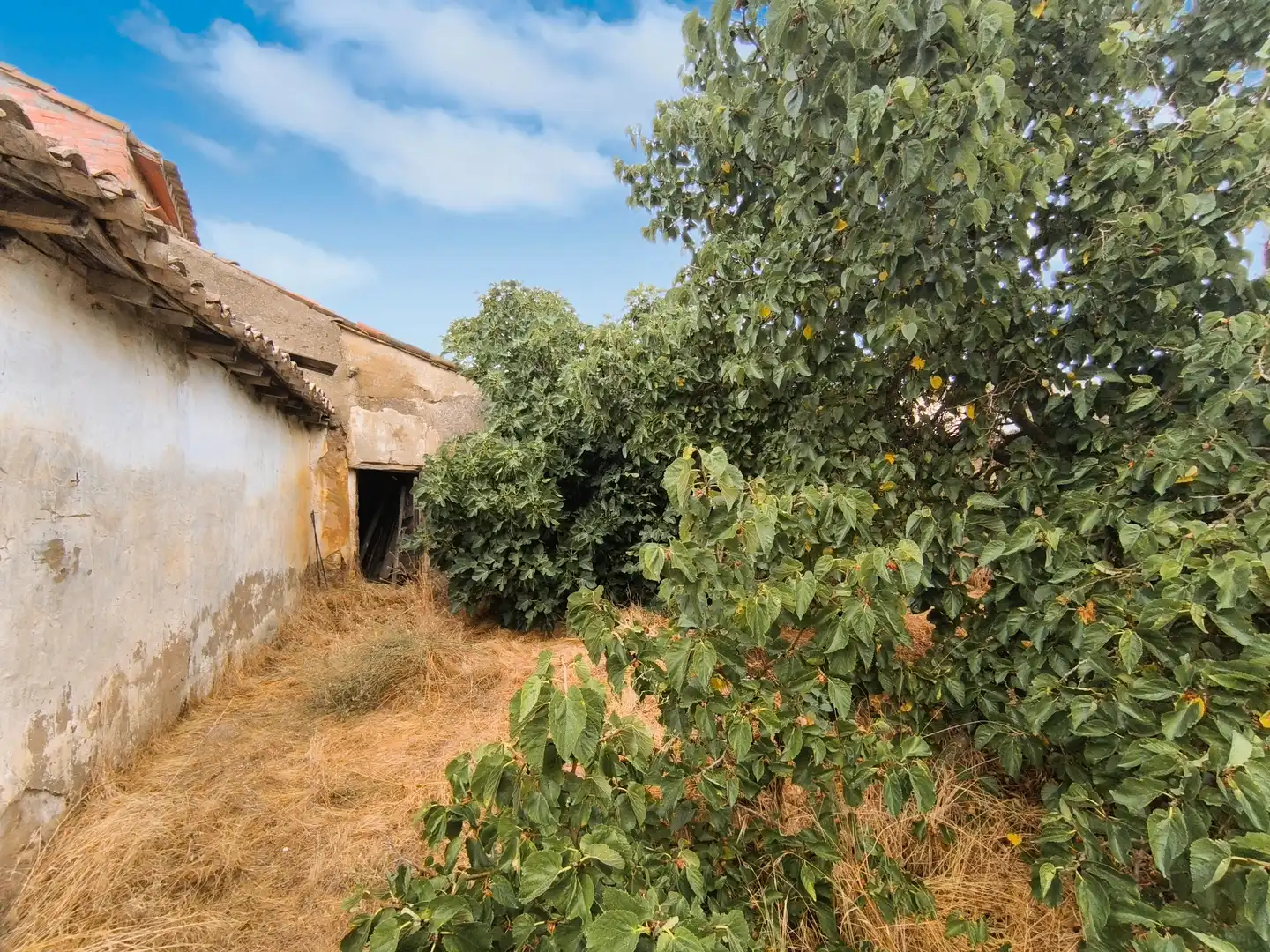 Casa o chalet en venta en Pedraza de Campos con Calefacción, Jardín privado y Terraza