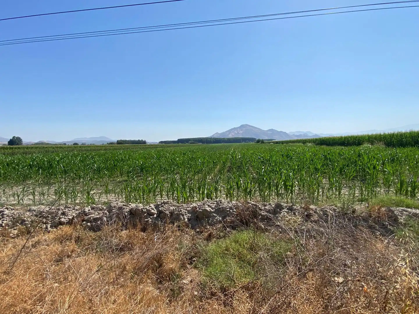 Grundstücke und Bauplätze zum Verkauf in Fuente Vaqueros, imagen 4