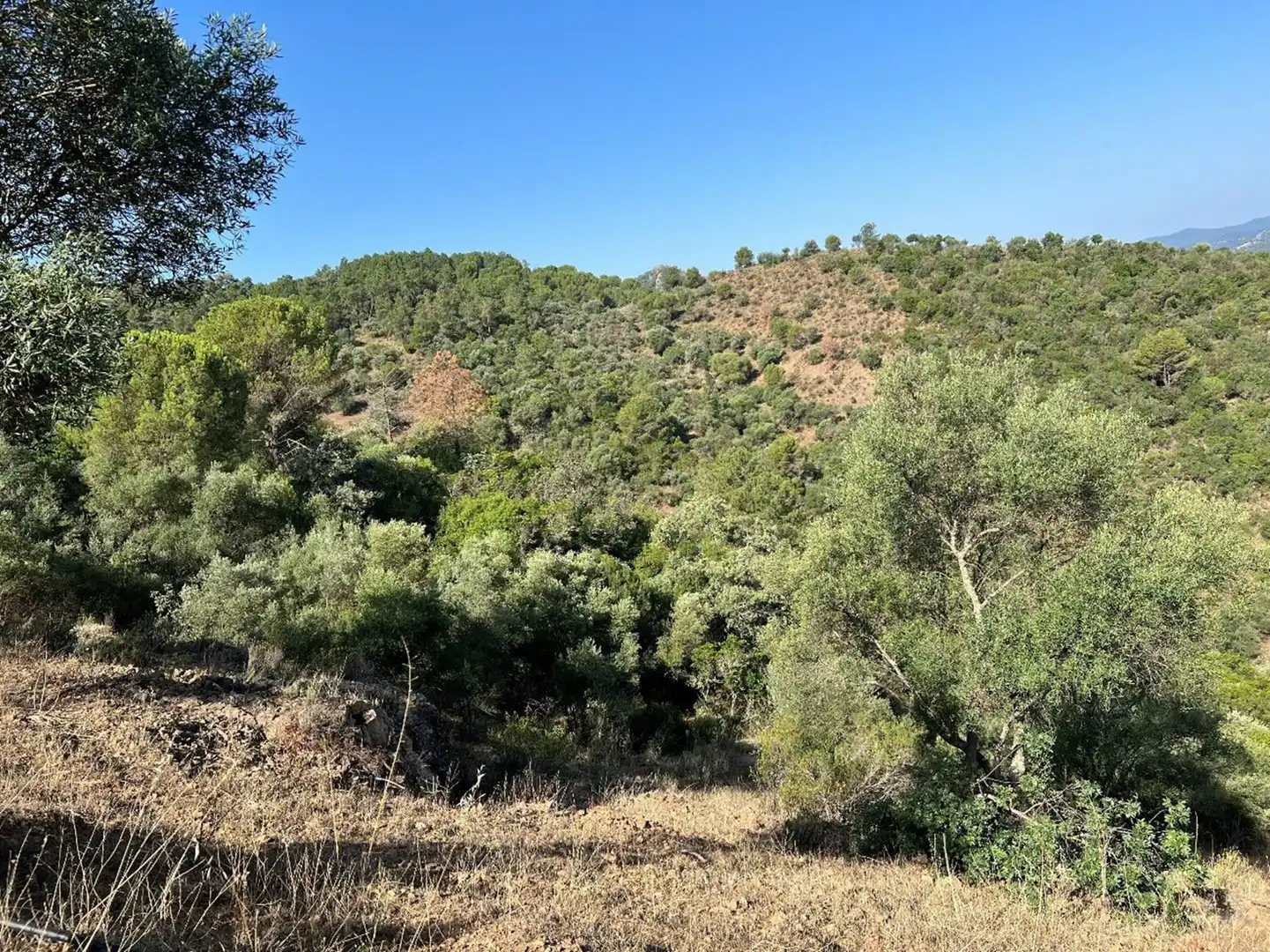 Grundstücke und Bauplätze zum Verkauf in Sureste, imagen 13