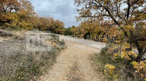 PARCELAS RÚSTICAS EN VENTA EN SALÁS DE PALLARS