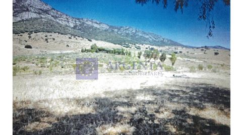 Foto 4 de Casa o chalet en venta en Guareña, Badajoz