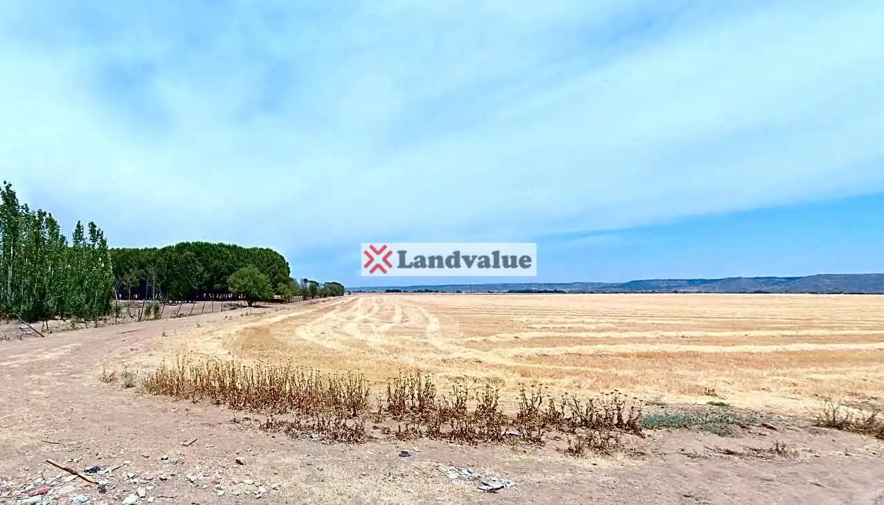 Rural land for sale in Polígono 3, Parcelas 25,27,28,33,34, imagen 6