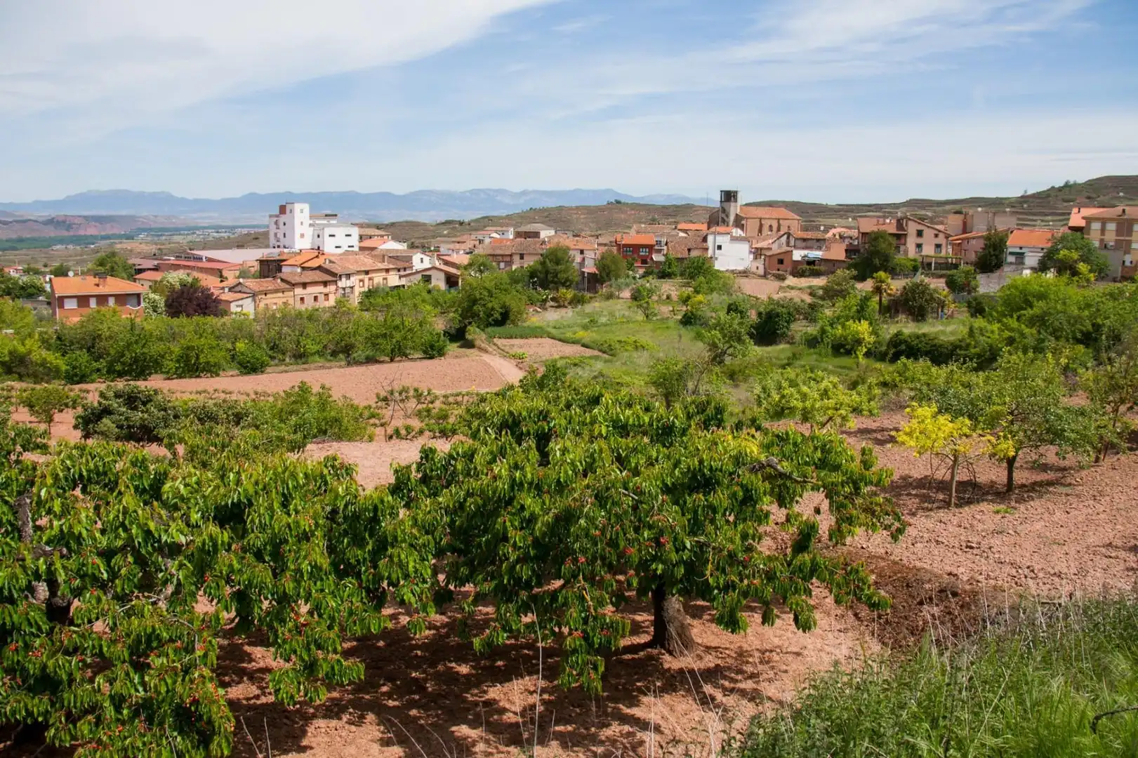 Vista exterior de Casa adosada en venda en Camprovín