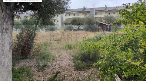 PARCELA SEGREGABLE EN VINARÒS, COSTA NORTE, imagen 4
