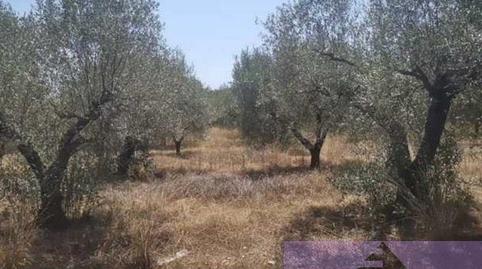 Photo 3 of Residential for sale in Pt Cala Puntal, Cala del Puntal, Castellón