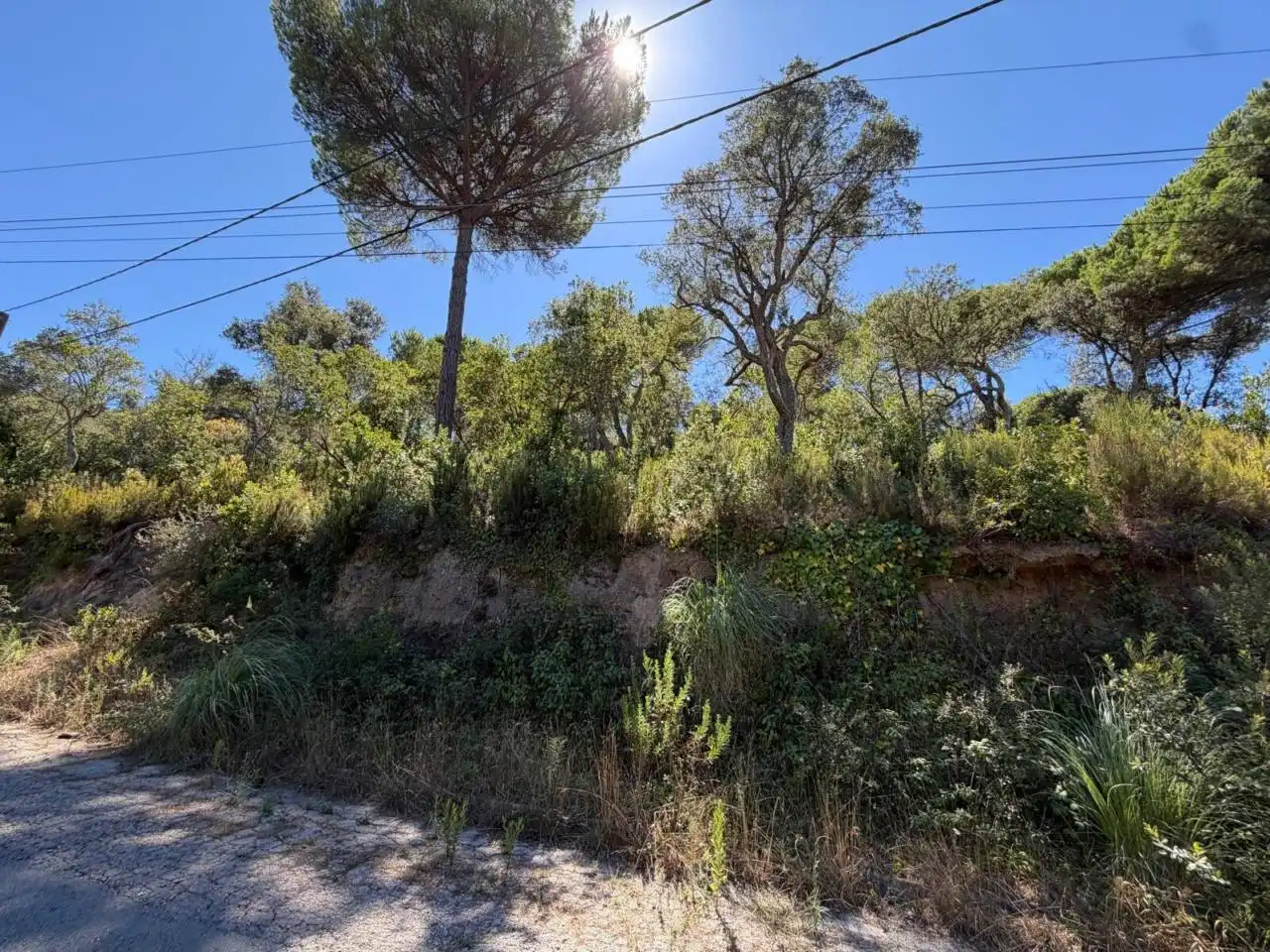 Wohnbaugrundstück zum Verkauf in Calle Santa Elena, imagen 3