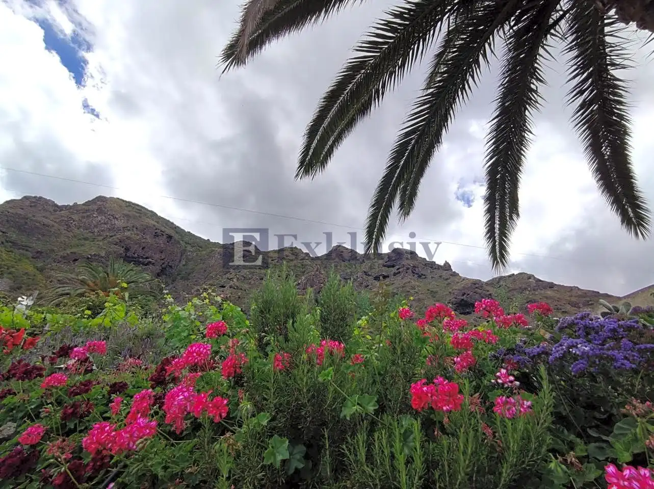 Country homes for sale in Buenavista del Norte