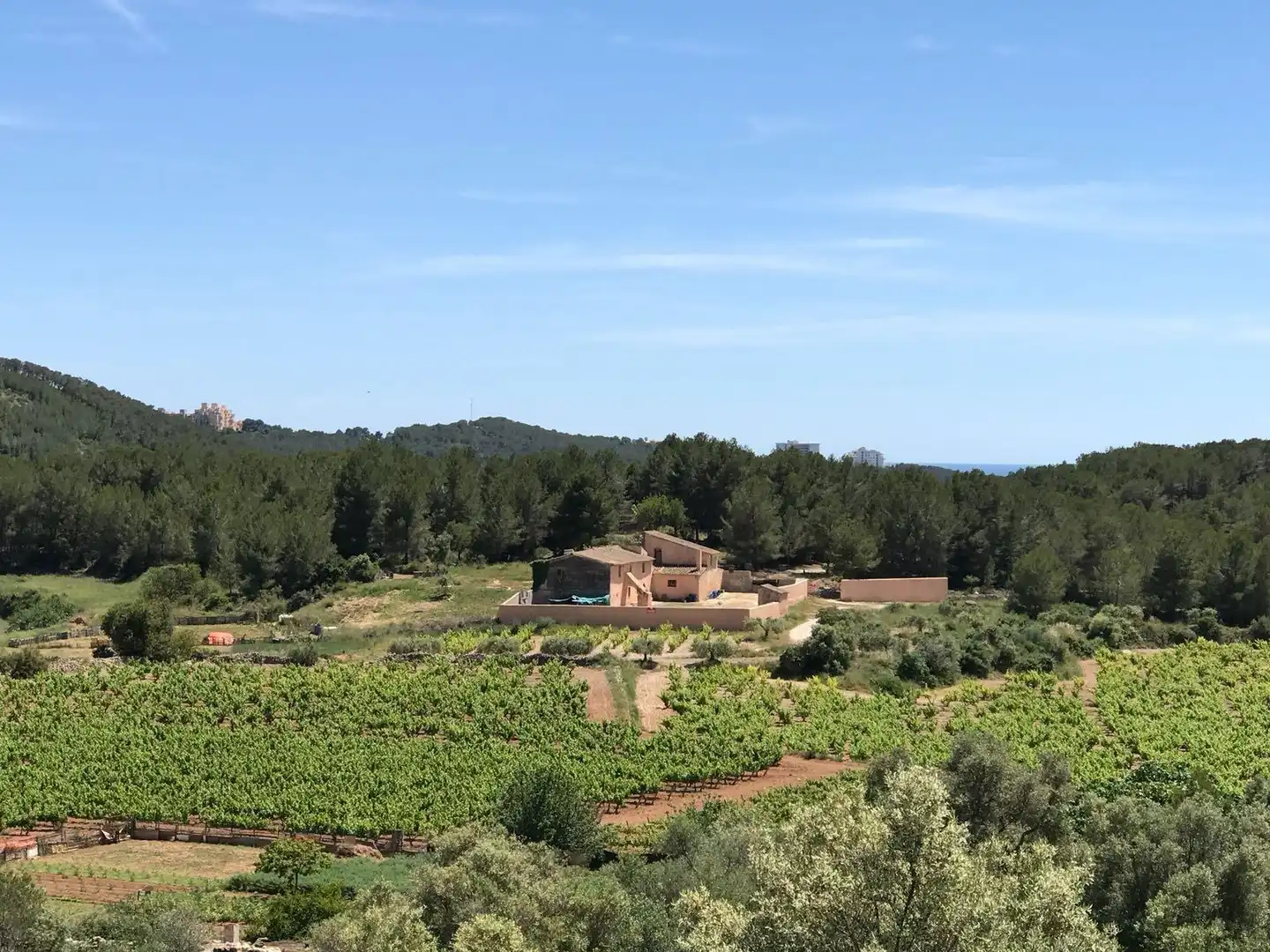 Garden of Land for sale in Sant Pere de Ribes