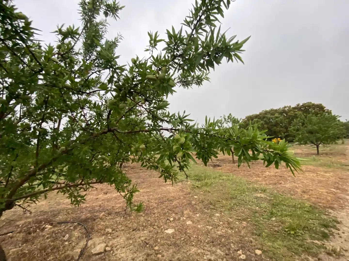 Terreni e lotti in vendita a Guadahortuna, imagen 35