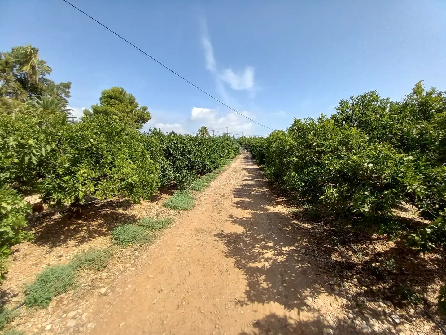 Terreno rustico in vendita a Costa Norte, imagen 30