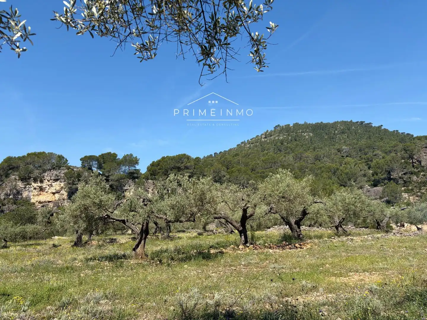 Terreno rústico en venta en L'Ametlla de Mar pueblo, imagen 10
