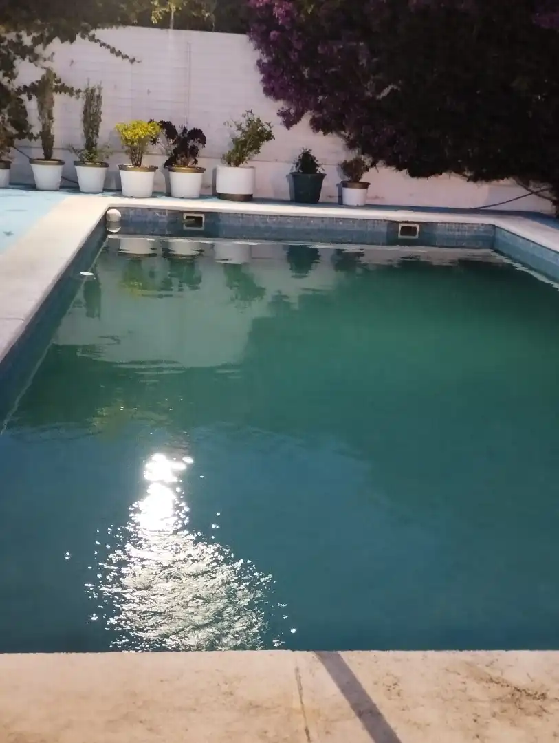 Piscina de Casa o xalet en venda en Nigrán amb Calefacció, Jardí privat i Piscina