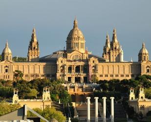 Exterior view of Flat for sale in  Barcelona Capital  with Terrace