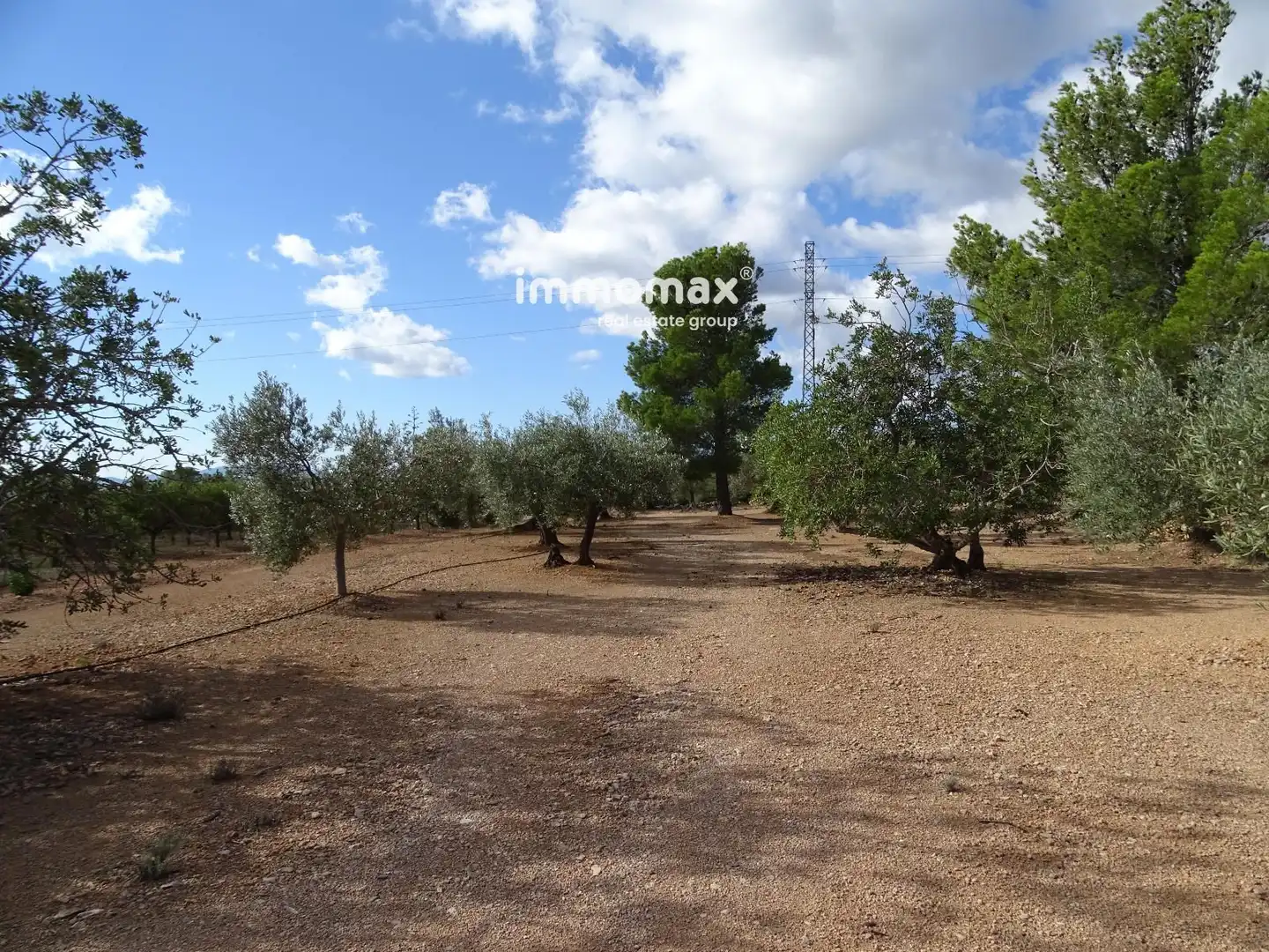Terrain rustique à vendre à 14, imagen 13