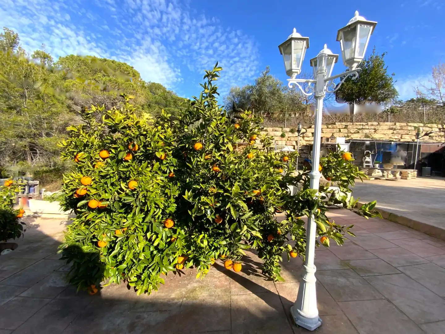Garden of Houses for sale in Rubí  with Air Conditioner, Heating and Private garden
