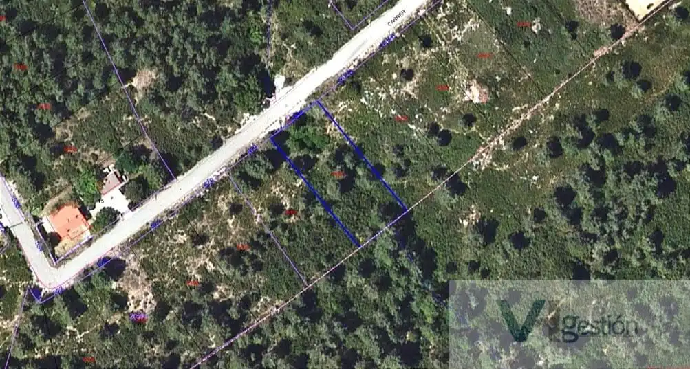 Terreno residenziale in vendita a Querol, imagen 4