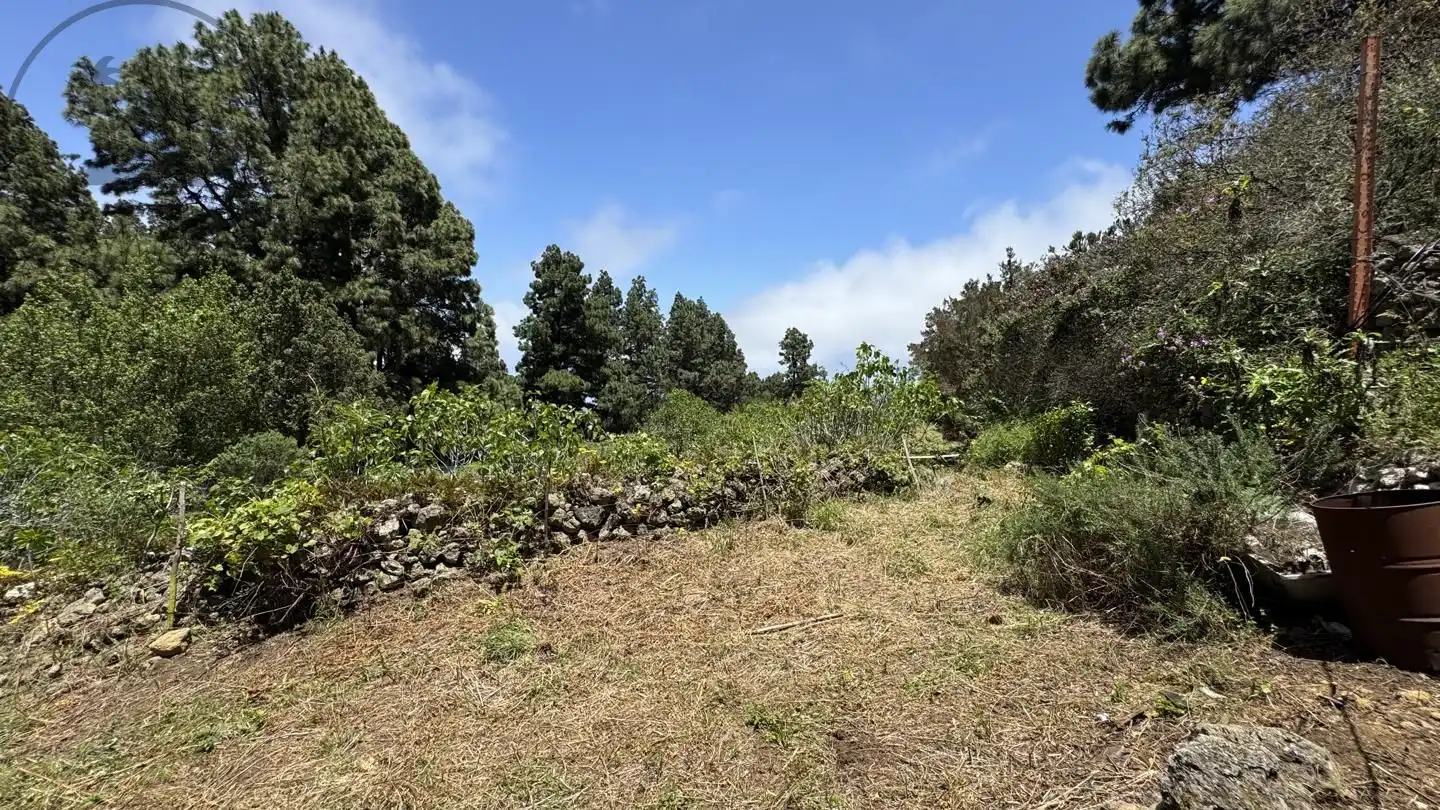 Lands and plots for sale in La Peña 1, imagen 18