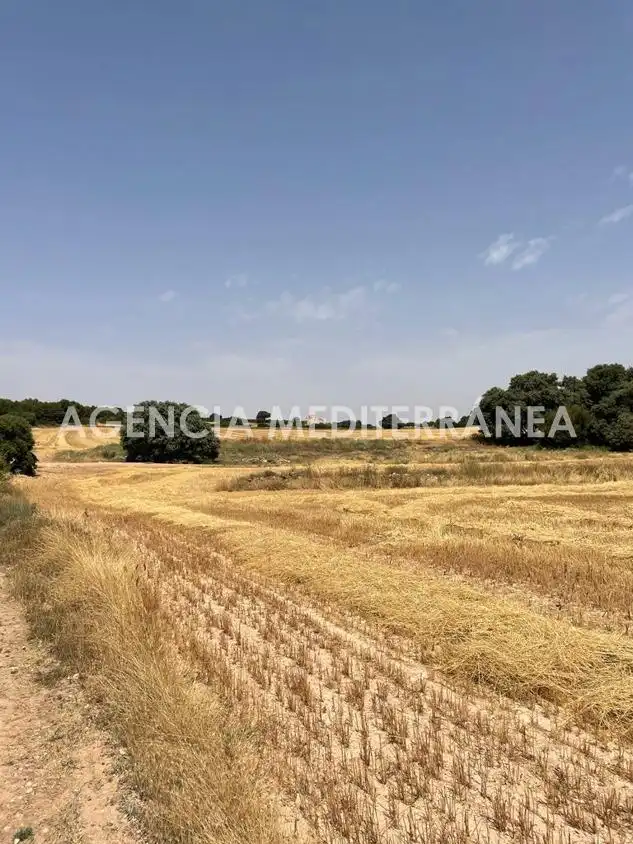 Finca rústica en venda en Almansa amb Calefacció, Jardí privat i Terrassa