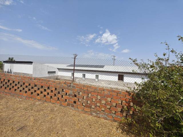 Nave industrial en Venta en Serradilla