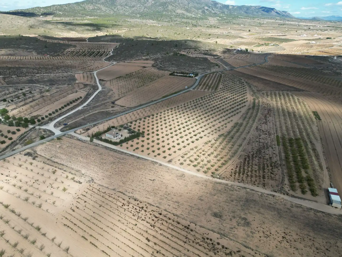 Terreno residencial en venta en El Pinós / Pinoso, imagen 5